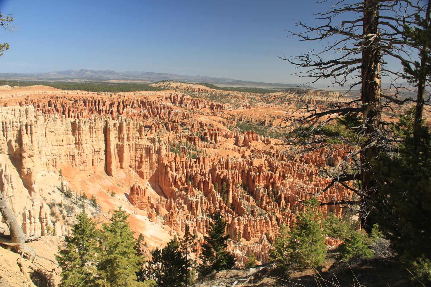 Bryce Point to Inspiration Point 